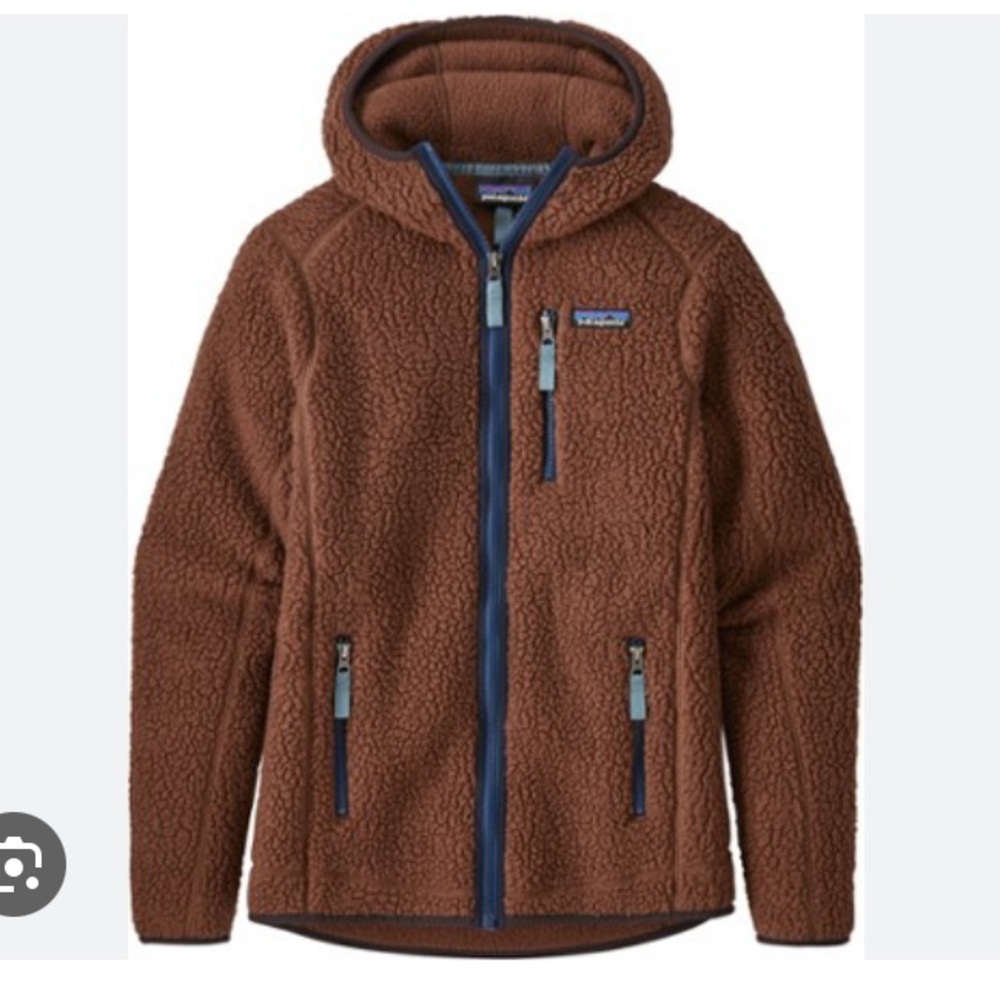 Patagonia Retro Pile Fleece Hoody